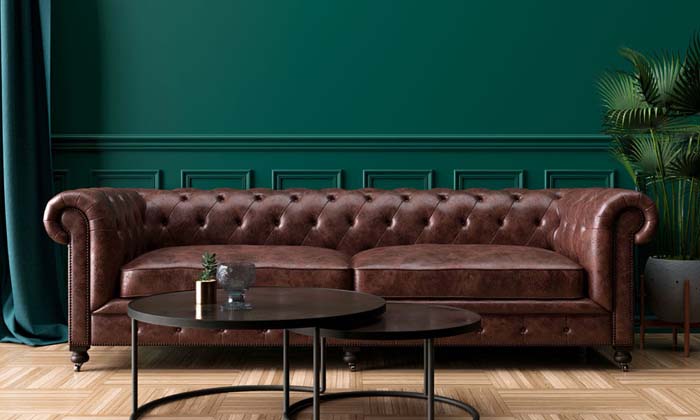 Green color with brown leather sofa