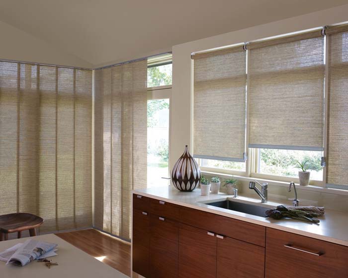 Roller Screen Shades