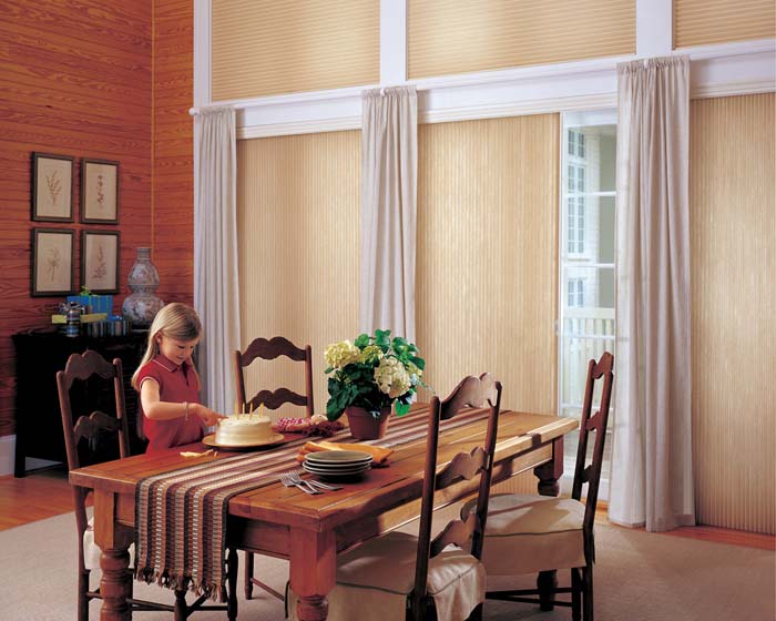 Vertical Pleated Shades