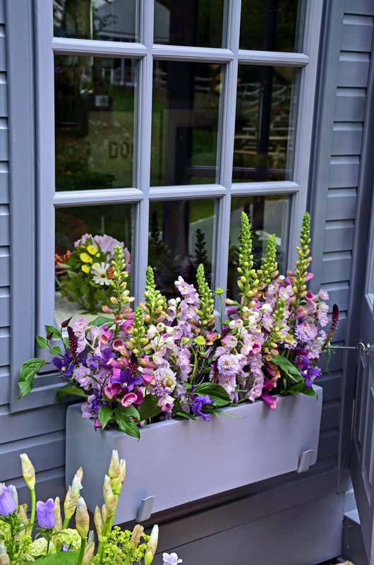 Window Pot With Cottage Garden Flowers