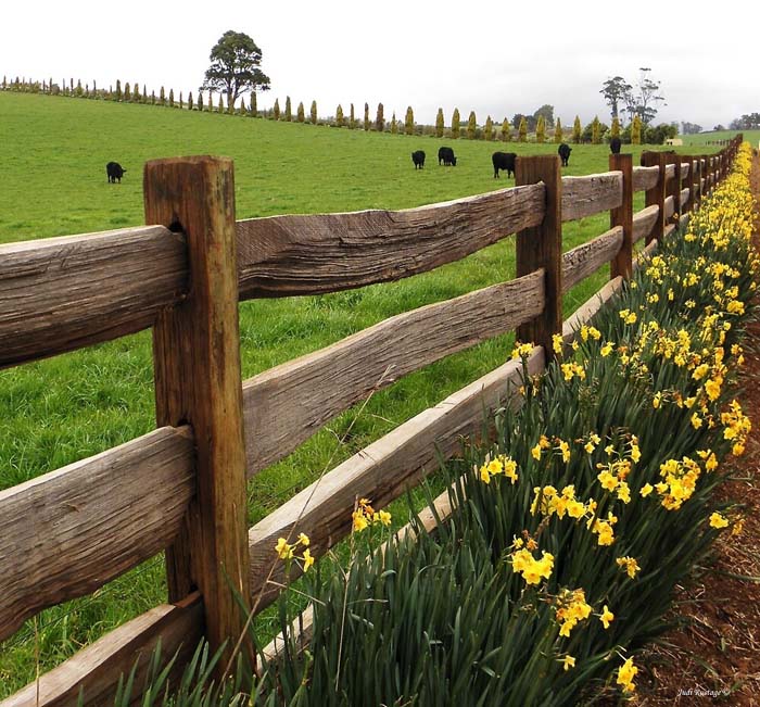 Post and Rail Rustic Fence Idea