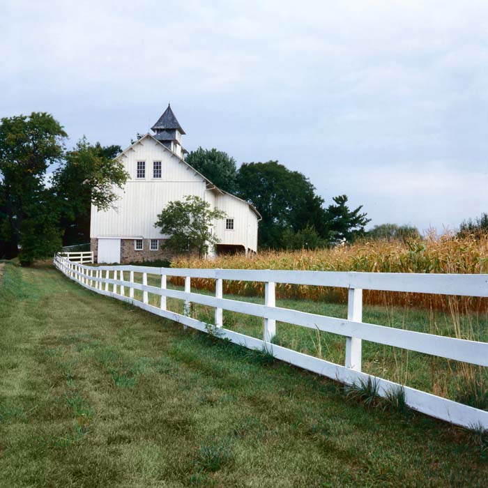 Ranch Rail Fence