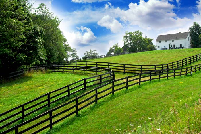 Black Estate Fence