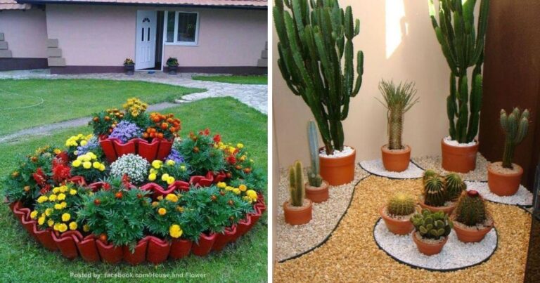 Image showcasing Small Garden In Your Backyard ( 10 Ideas )