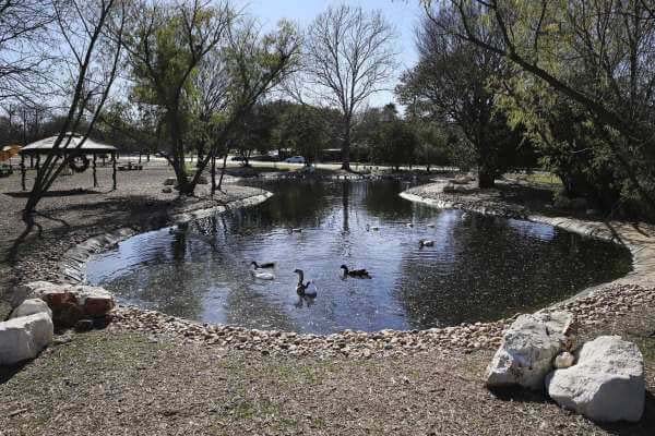 Full Scale Duck Pond