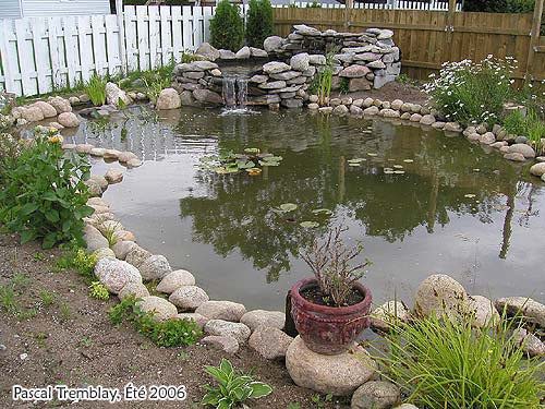 Fancy Backyard Duck Pond