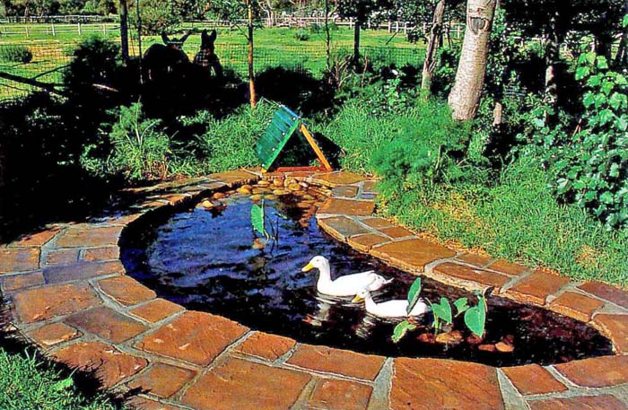 Concrete Duck Pond Idea