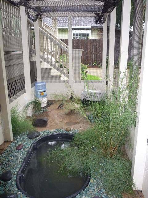 Keeping Ducks in an Enclosure