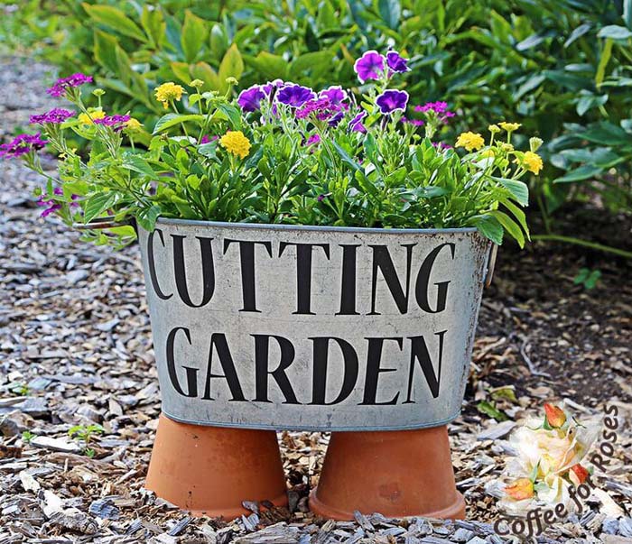 A Small Garden And A Sign In One