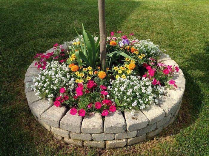 Garden Island Around A Tree With Seasonal Flowers