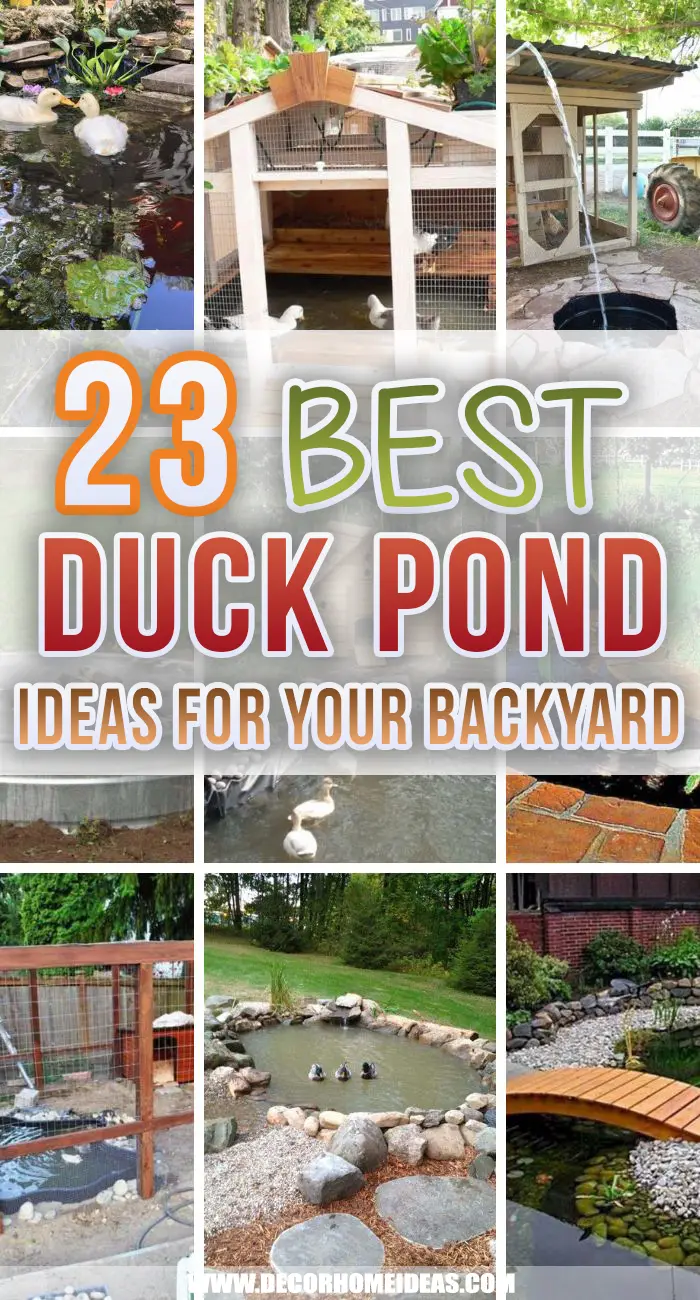Backyard Duck Pond Ideas. Build your own backyard duck pond to get a real backyard paradise. These pond ideas and designs will help you choose the best one for your garden.