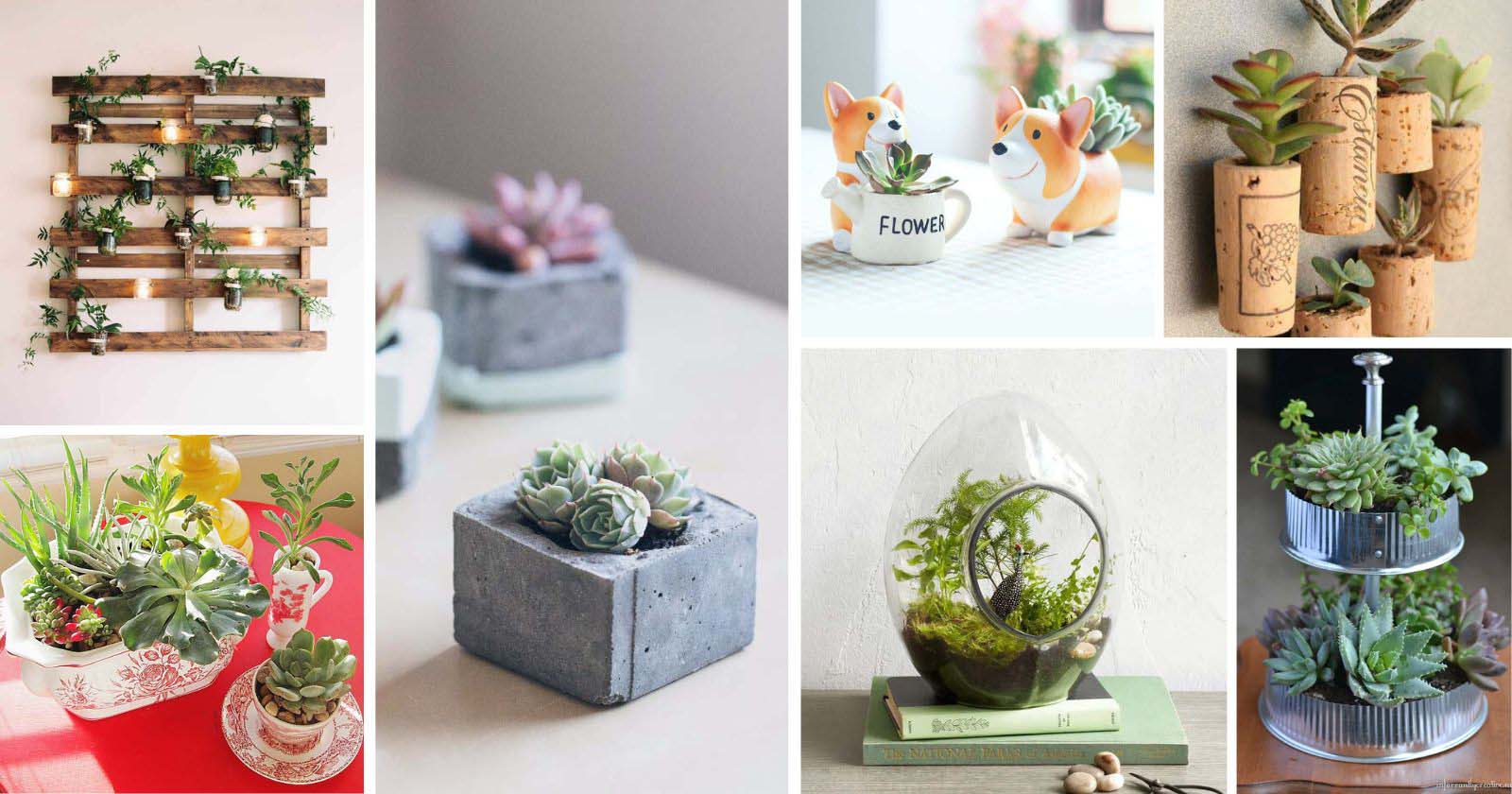 Indoor Succulent Planter Ideas