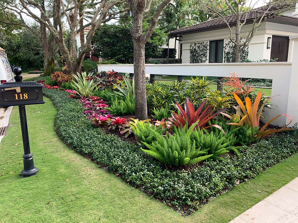 Layered Flower Bed With Foxtail Fern