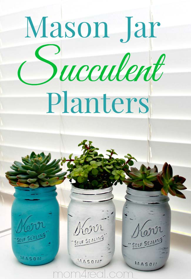 Mason Jar Succulent Planters