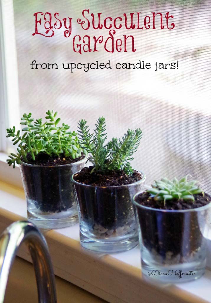 Candle Holders As Indoor Succulent Planters