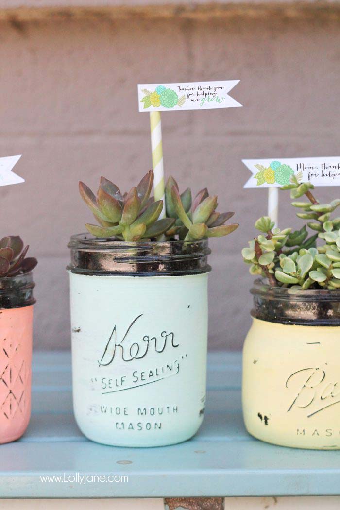 Chalk-painted Mason Jars succulent planters