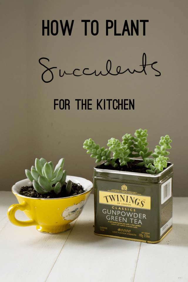 Tea Set Succulent Planters