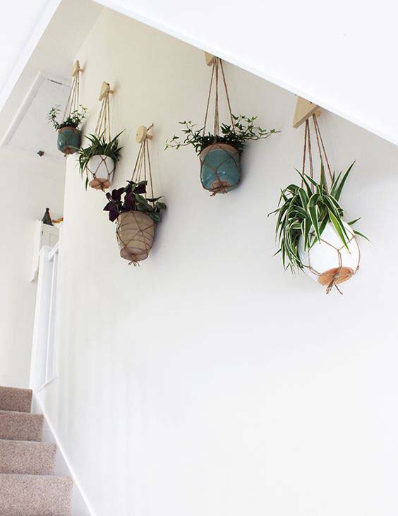 Indoor Succulent Planter Idea With Macrame
