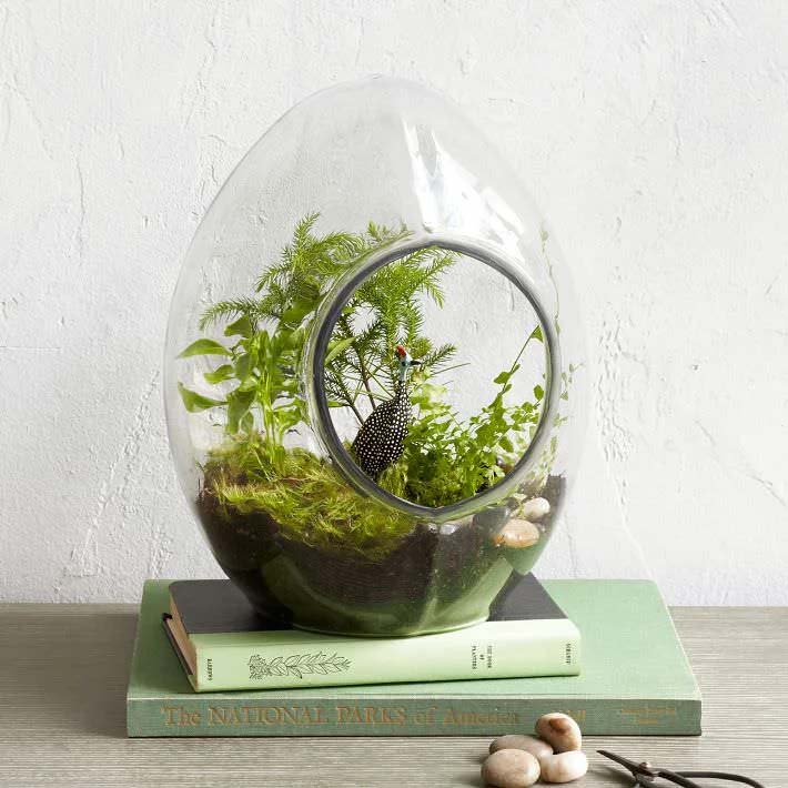 Free-standing Succulent Terrarium