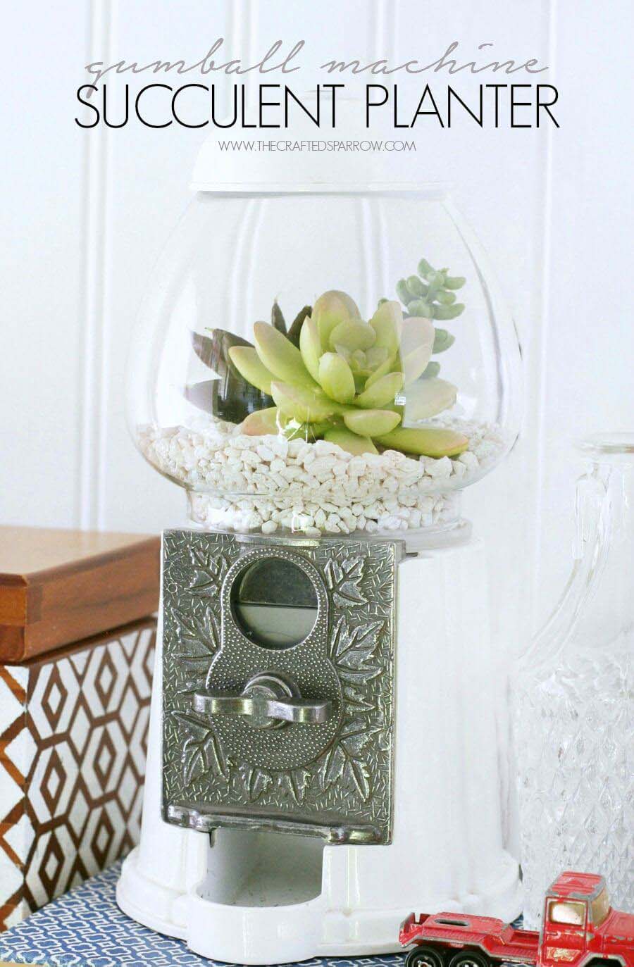 Gumball Machine Into Indoor Succulent Planter