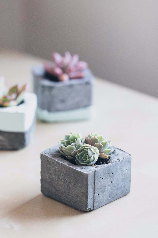 Small Modern Concrete Planters