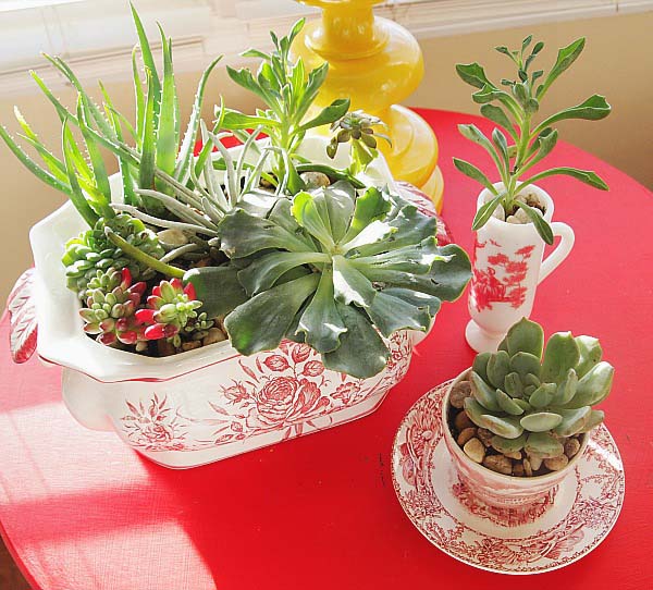 Vintage Dish Garden