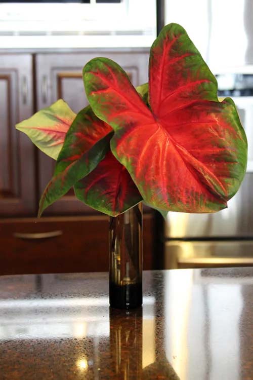 17. Caladium #decorhomeideas