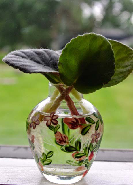 4. African Violet #decorhomeideas