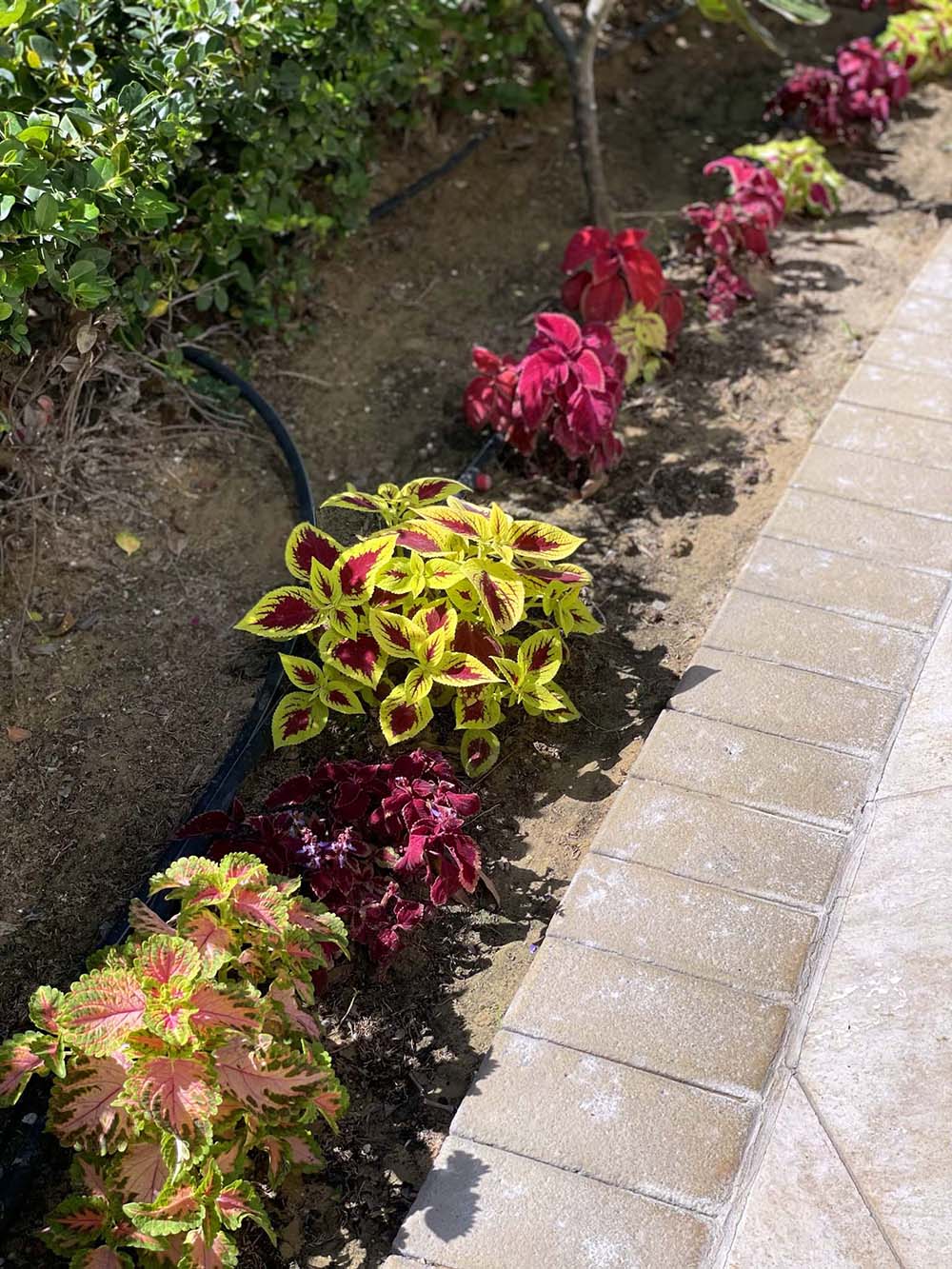 Cut Stone Garden Edging