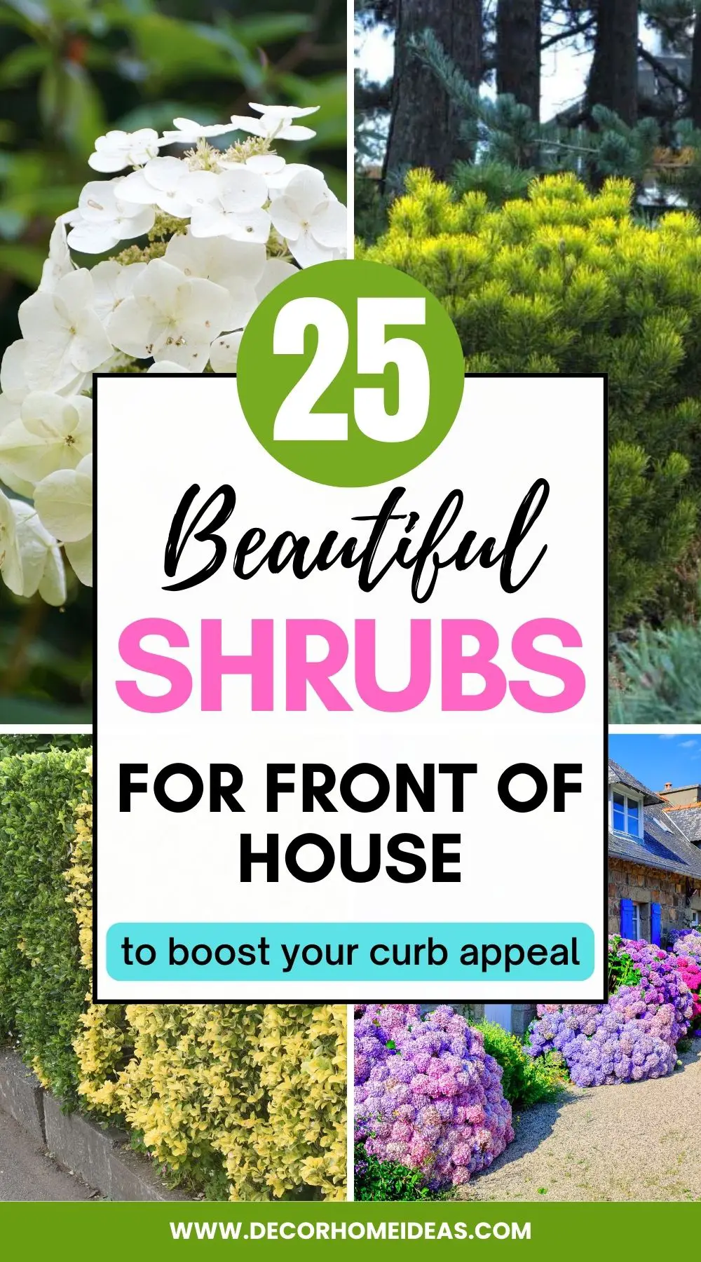 Discover the top shrubs to add beauty and value to your home's front yard. We've selected the most visually striking and easy-to-maintain plants, and shared practical tips for creating an attractive and welcoming landscape.