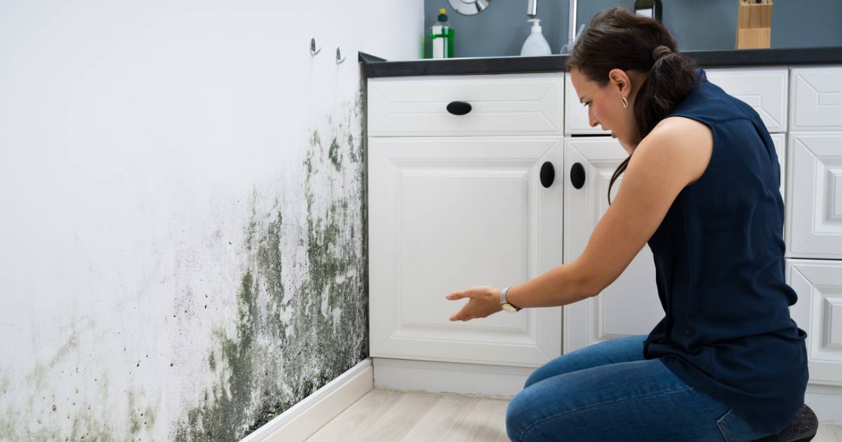 how to get rid of mold