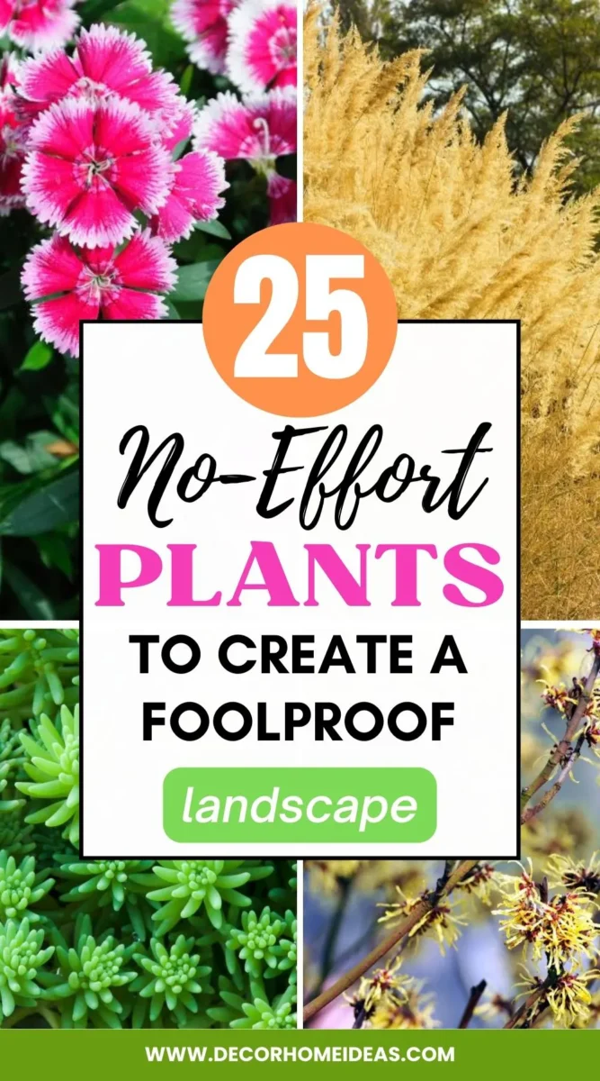 Looking for low maintenance plants to create a fuss-free garden? Check out our collection of 25 no-effort plants that are perfect for a foolproof landscape. These plants are easy to care for, require little maintenance and can thrive in various USDA zones.