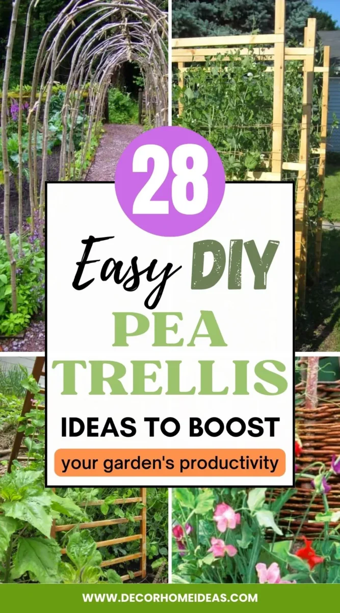 Boost your garden's productivity with our top 28 pea trellis ideas! From DIY to ready-made designs, discover creative and practical ways to support your pea plants for optimal growth.