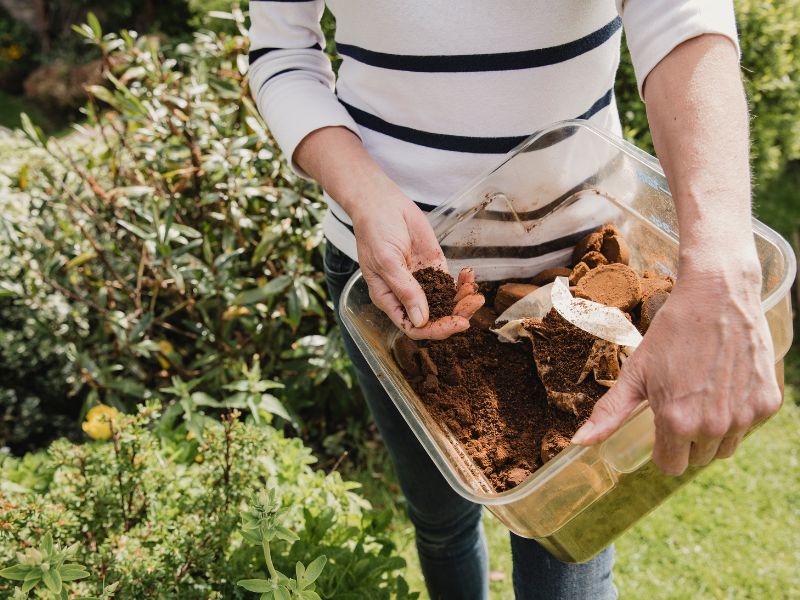 Tomato Holes Planting Tips 1