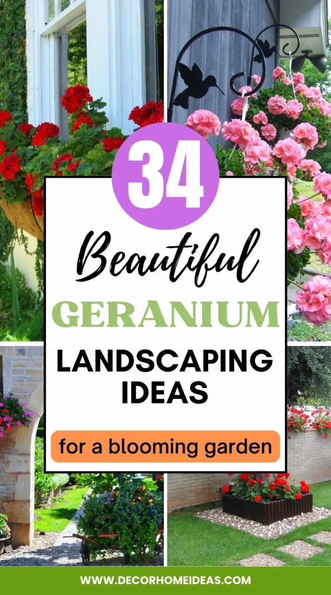 Discover Stunning Geranium Landscaping Ideas for Your Garden - Create a Floral Wonderland with These Gorgeous Designs.
