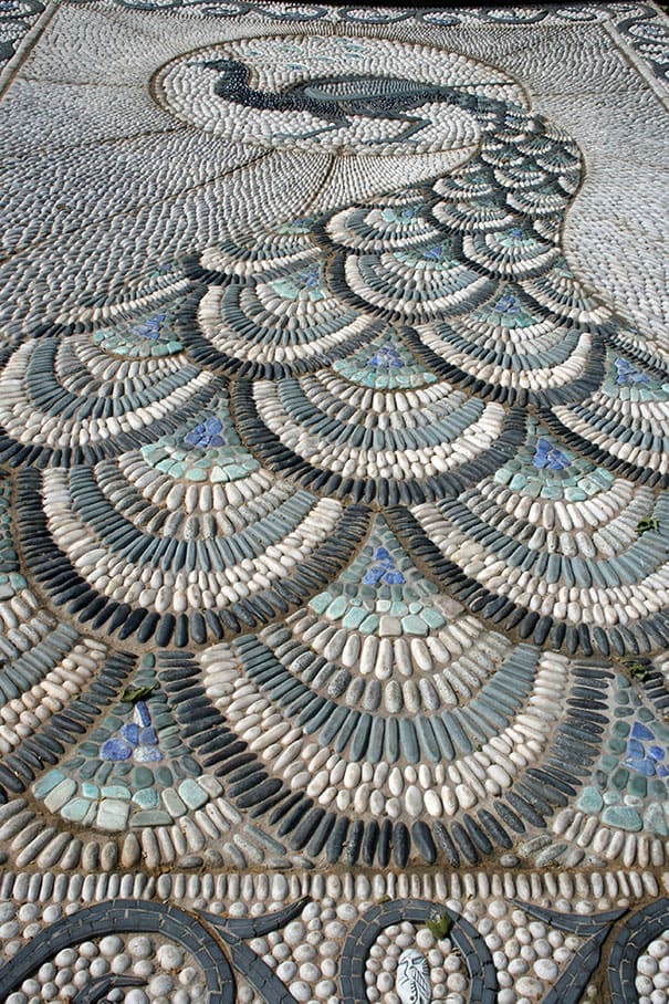 Peacock – shaped Path