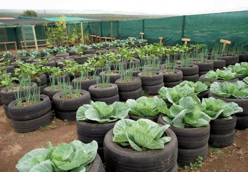 Wooden Tire Garden