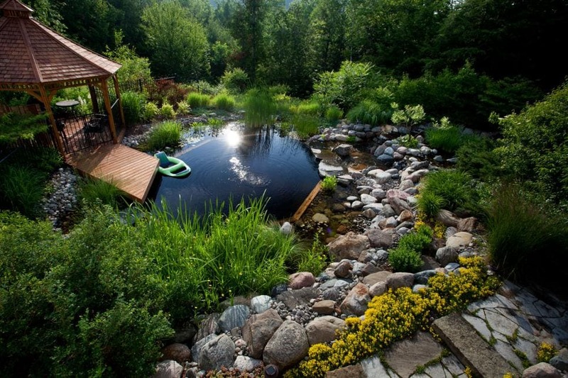 La piscina como estanque natural