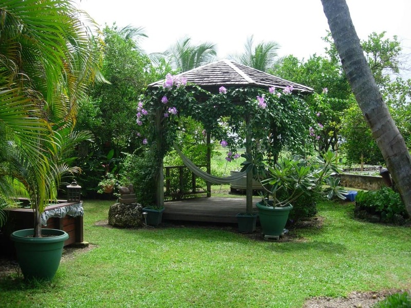 Garden Patio Hammock