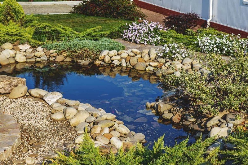 Garden Pond