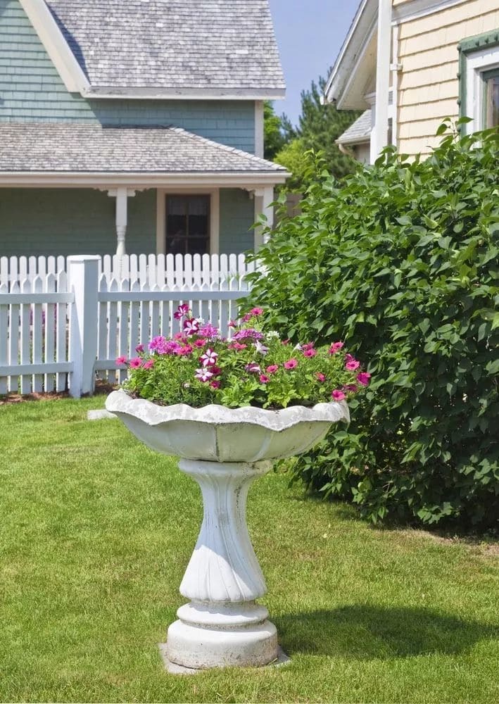 Birdbath Garden