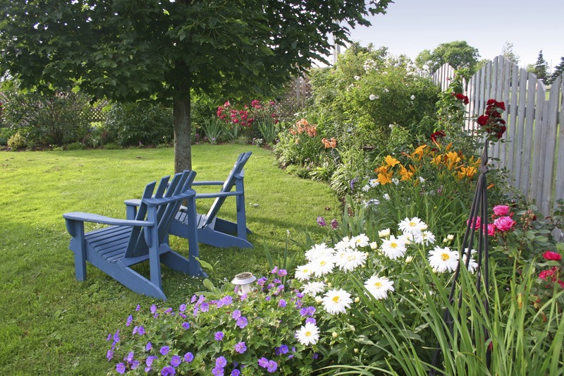 Colorful Adirondack Chairs