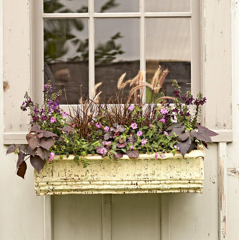 Victorian Inspired Flower Wndow Box