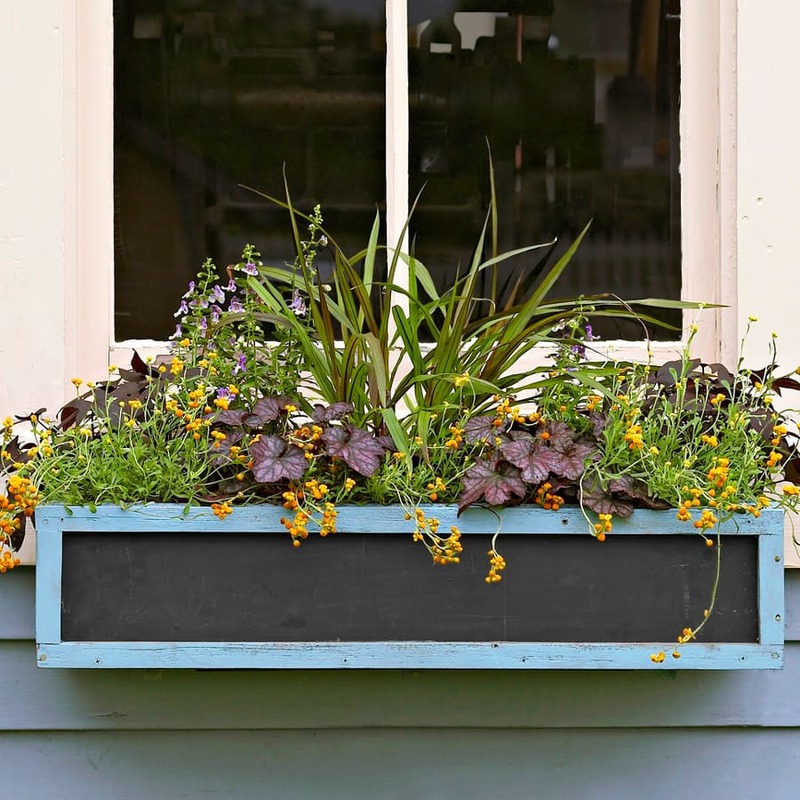 Chalkboard Flower Window Box