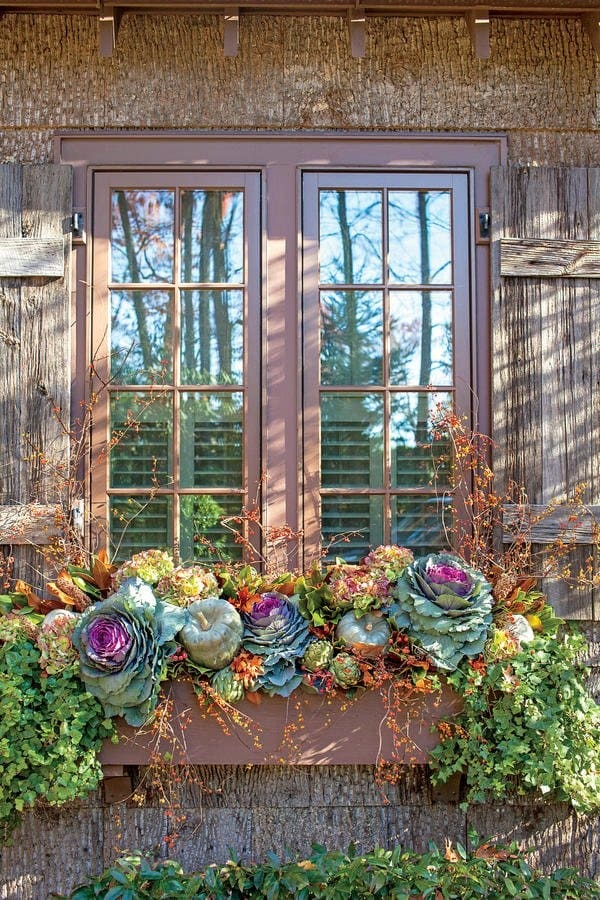 Transitional Window Box 