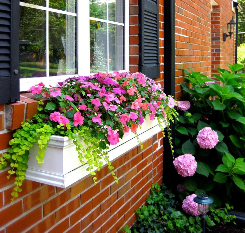  Combined Up Growing with Hanging Plants Window Box