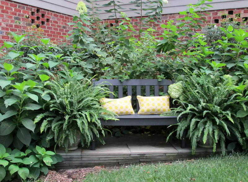 Corner Backyard in Virginia