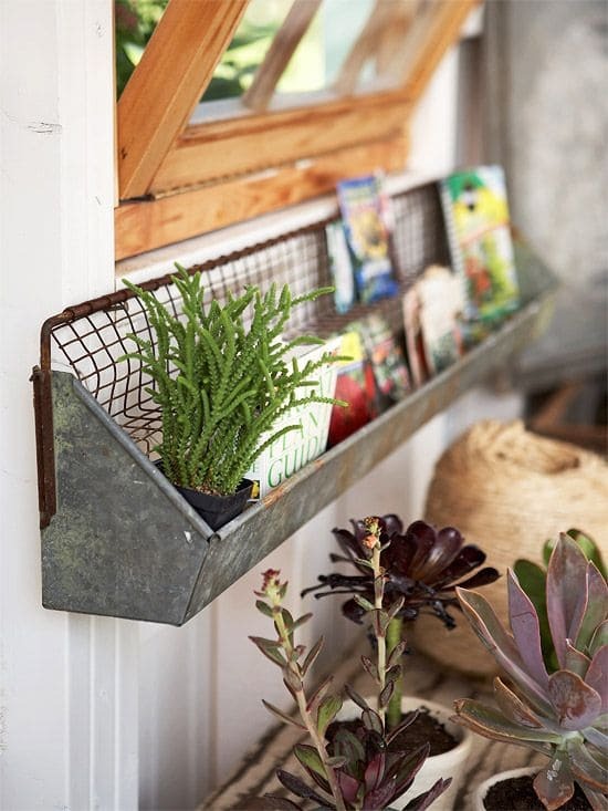 Chick Feeder Shelf