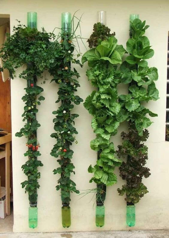 Indoor Gardening In A Manufactured Home