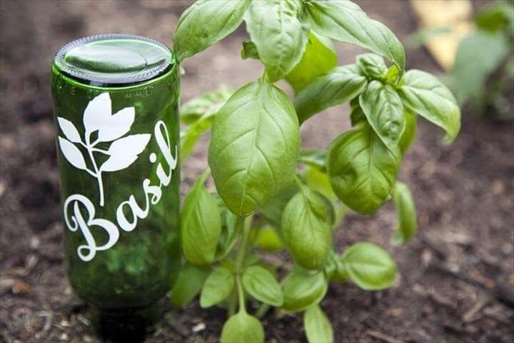 Glass Bottle Garden Markers